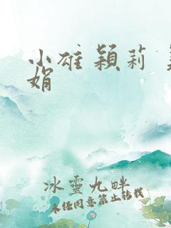 小雄 颖莉 美娟