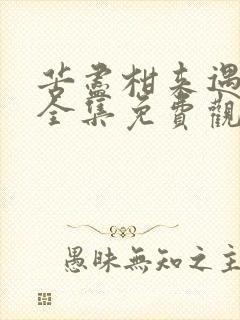 苦尽柑来遇见你全集免费观看韩剧网