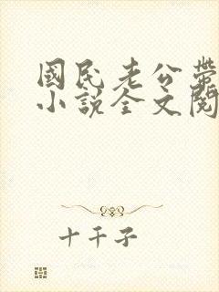 国民老公带回家小说全文阅读