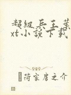 超级兵王叶谦txt小说下载