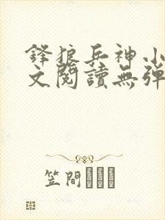 锋狼兵神小说全文阅读无弹窗免费