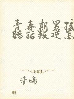 青春期男孩子不听话叛逆怎么应对