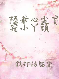 陆爷心尖宝,独宠小丫头