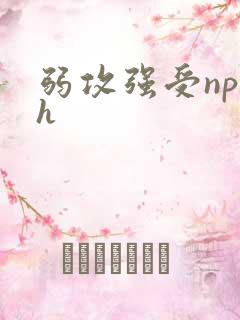 弱攻强受np高h