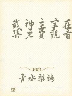 武神主宰在线全集免费观看