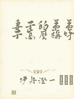 妻子的弟弟的儿子怎么称呼