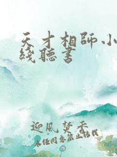 天才相师小说在线听书