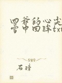 四爷的心尖宠妃雪中回眸txt下载