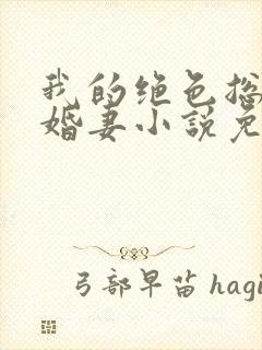 我的绝色总裁未婚妻小说免费阅读