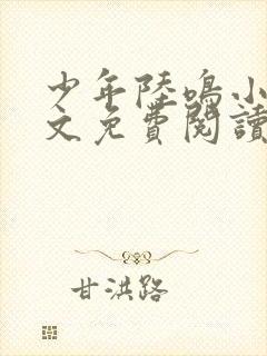 少年陆鸣小说全文免费阅读