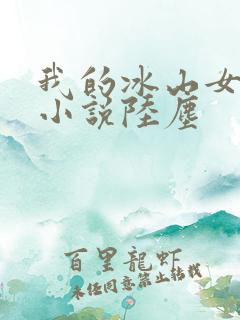 我的冰山女总裁小说陆尘