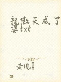 龙傲天成了我老婆txt