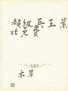 超级兵王叶谦txt免费