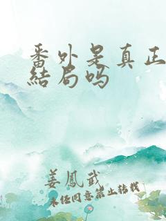 番外是真正的大结局吗