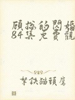 顾总的闪婚娇妻84集免费观看