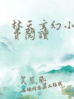 林天玄幻小说免费阅读