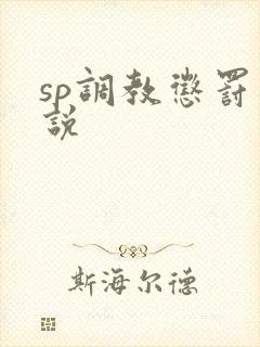 sp调教惩罚小说