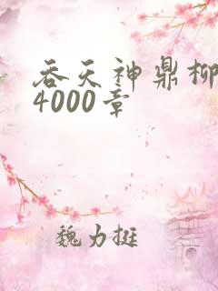吞天神鼎柳无邪4000章