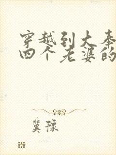 穿越到大奉娶了四个老婆的小说