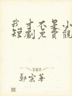 我才不是小可怜短剧免费观看全集