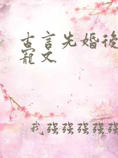 古言先婚后爱甜宠文