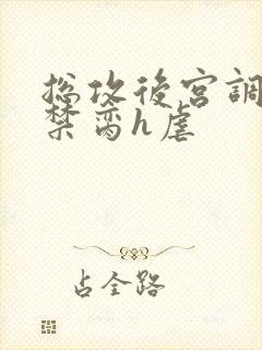 总攻后宫调教成禁脔h虐