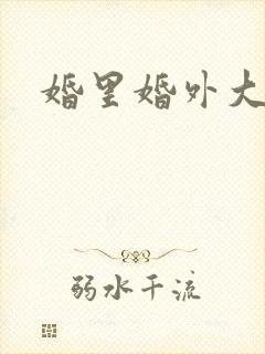 婚里婚外大结局