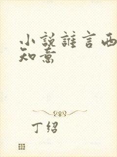 小说谁言西洲不知意