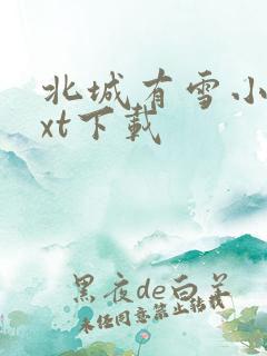 北城有雪小说txt下载