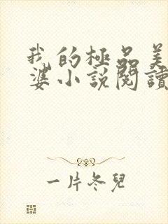 我的极品美女老婆小说阅读