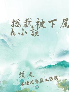 总裁被下属调教h小说