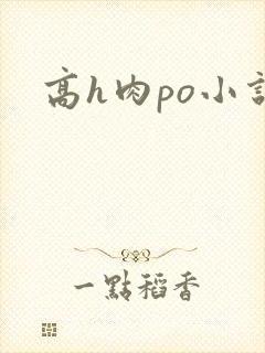 高h肉po小说
