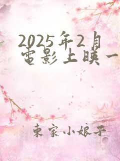 2025年2月电影上映一览表