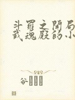 斗罗之开局加入武魂殿的小说