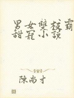 男女双校霸校园甜宠小说