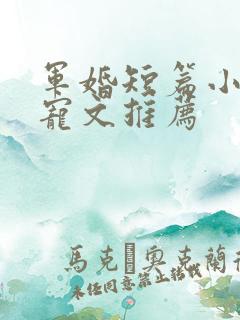 军婚短篇小说甜宠文推荐