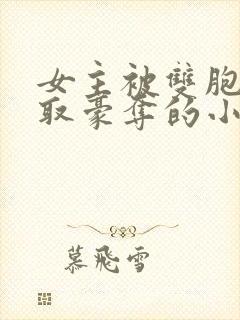 女主被双胞胎强取豪夺的小说