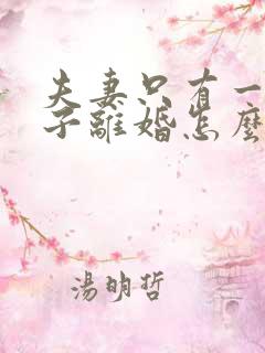 夫妻只有一套房子离婚怎么分