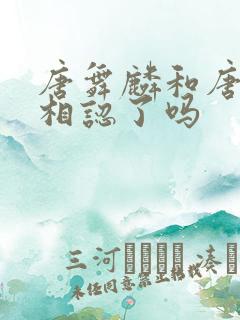 唐舞麟和唐舞桐相认了吗