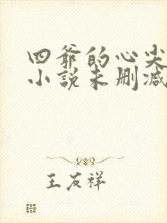 四爷的心尖宠妃小说未删减版