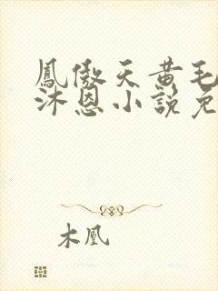 凤傲天黄毛反派沐恩小说免费观看