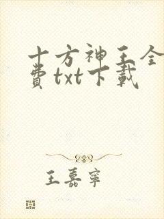 十方神王全文免费txt下载