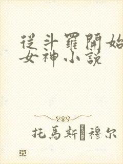 从斗罗开始俘获女神小说