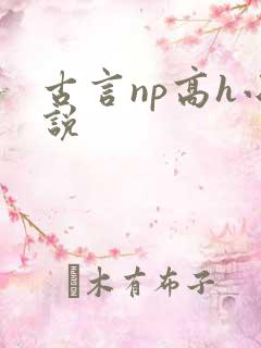 古言np高h小说
