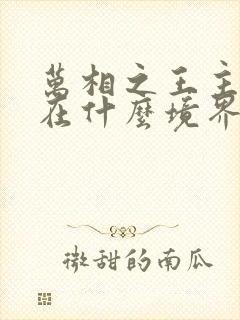 万相之王主角现在什么境界