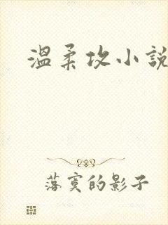 温柔攻小说推荐