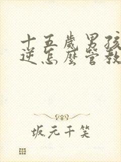 十五岁男孩子叛逆怎么管教更有效