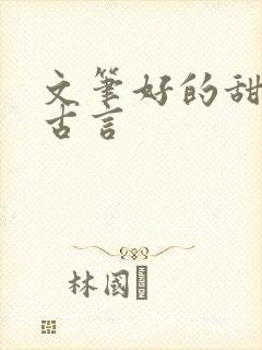 文笔好的甜宠文古言