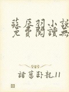 苏辰羽小说全文免费阅读无弹窗最新章节