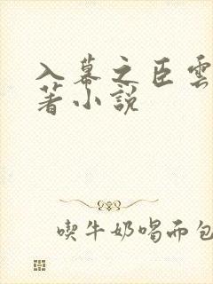 入幕之臣云夙原著小说